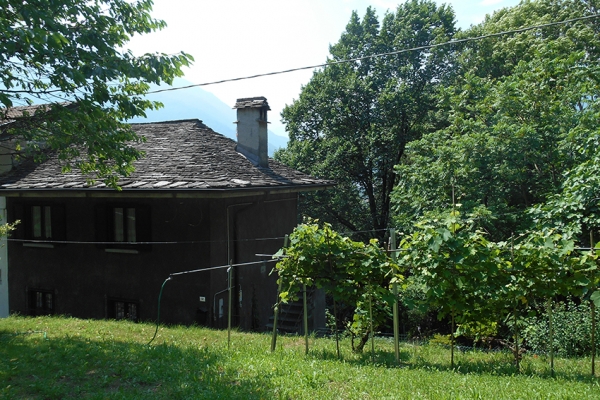 20.JPG
